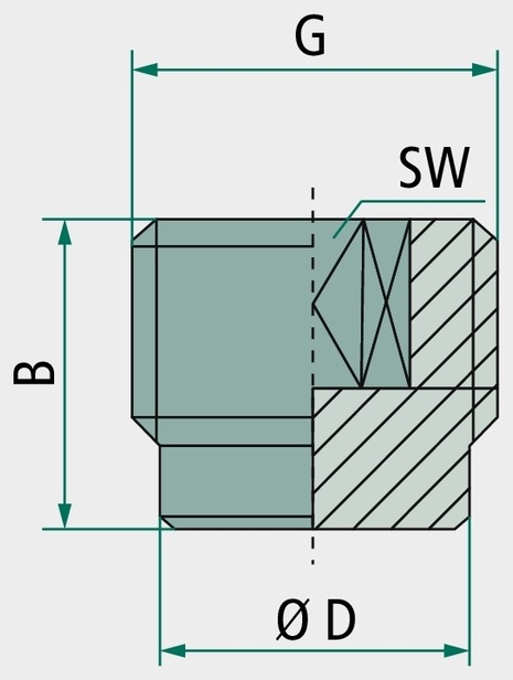 F-VOBk-1/2-MSv Surub de inchidere R1 / 2 (2x)