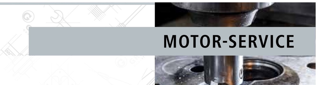 A-WSH-10/8-1/4-MSv Racord pivotant G 1/4"