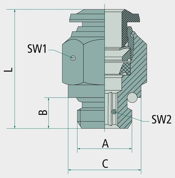 BK-GE-4-M5-MSv Racord drept cu filet exterior M5