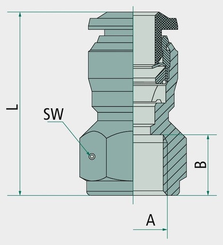 BK-GA-10-1/4-MSV Racord drept cu filet i G 1/4"