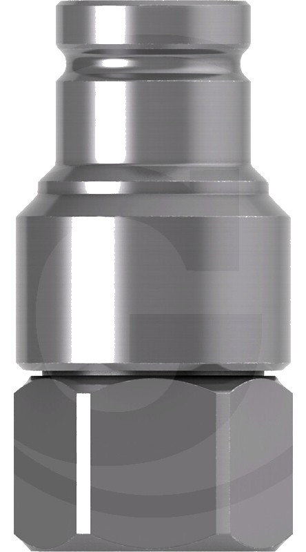 Cejn Niplu G 1/2" filet interior FKM 06