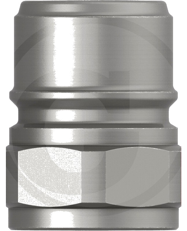 Cejn Stecher G 3/4" filet interior; NBR fara supapa 12