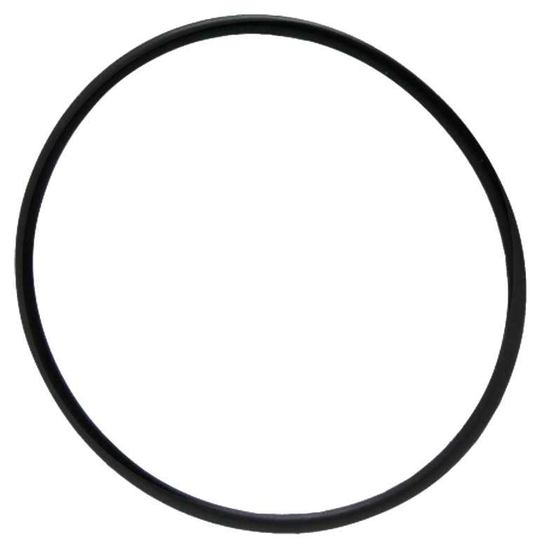 O-Ring - Senzor rezervor combustibil