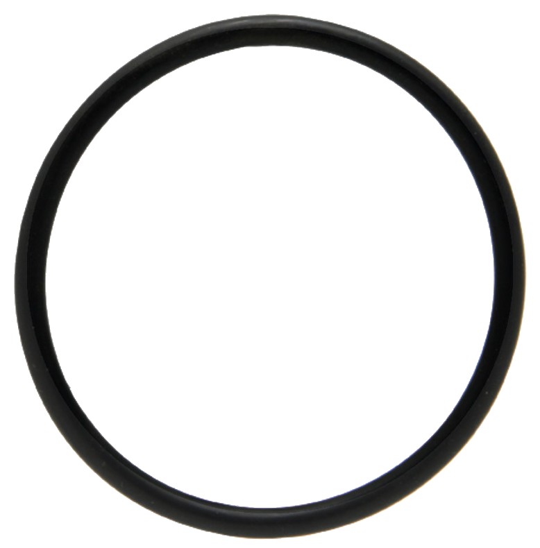 O-Ring - Senzor rezervor combustibil