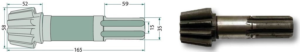 Arbore de pinion - 10 dinti