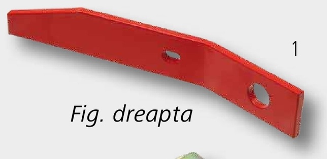 Dinti - dreapta