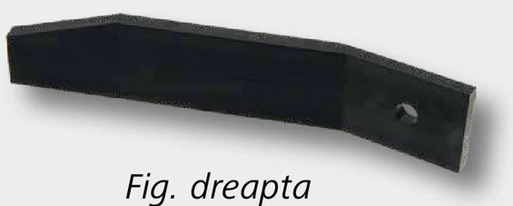 Dinti - stanga