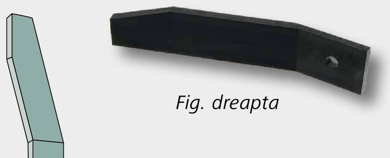 Dinti - dreapta