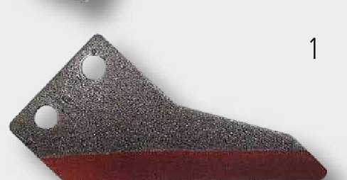 Cutit fir