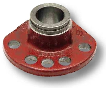 Butuc