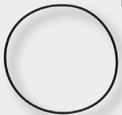 O-Ring