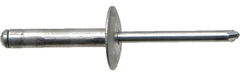 Nit