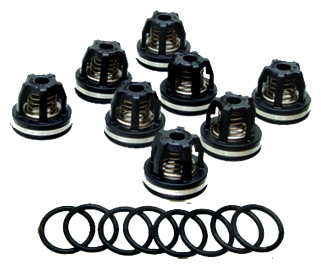 Annovi Reverberi Set supape - O-ring 670620030 Supapa 6701409050