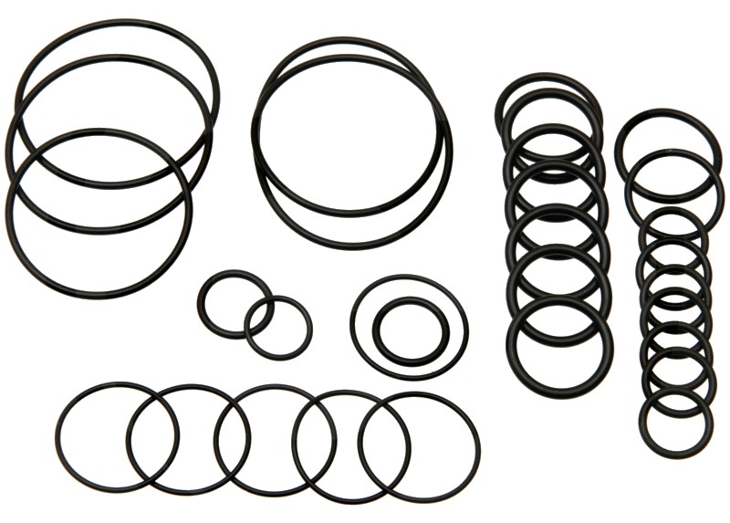 Annovi Reverberi Set o-ringuri