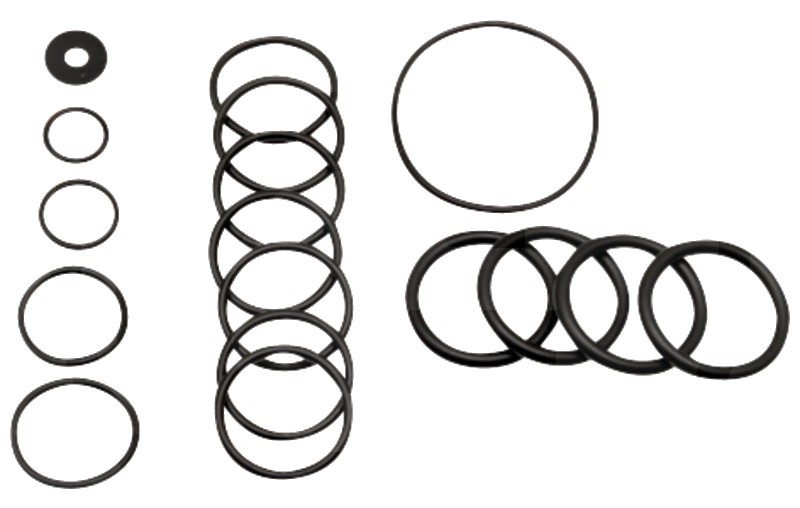 Annovi Reverberi Set o-ringuri