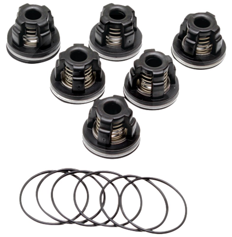 Annovi Reverberi Set supape - O-ring 670320030 Supapa 670759054