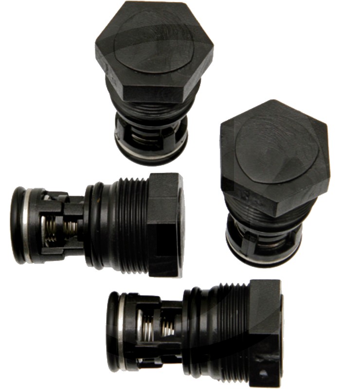 Annovi Reverberi Set supape - O-ring 670880830 Supapa 670809060