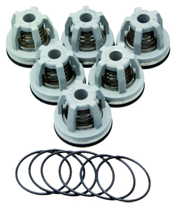 Annovi Reverberi Set supape - O-ring 670680070 Supapa 6702249050
