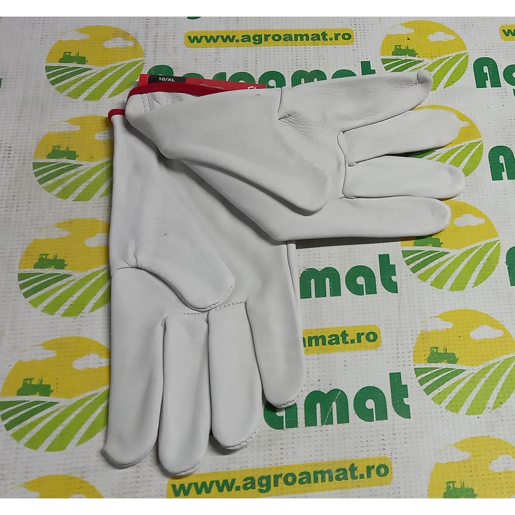 Manusi 9/L