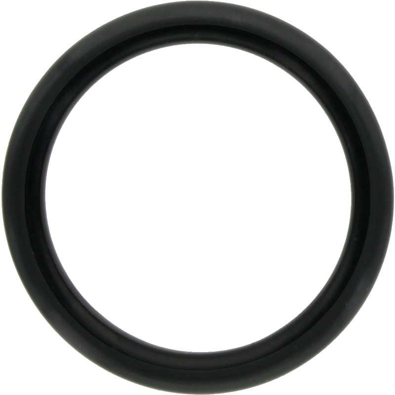 Annovi Reverberi O-Ring Ø = 31,5 x 4,5 mm