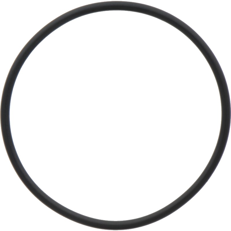 Comet O-ring Ø = 3,53 x 74,61 mm