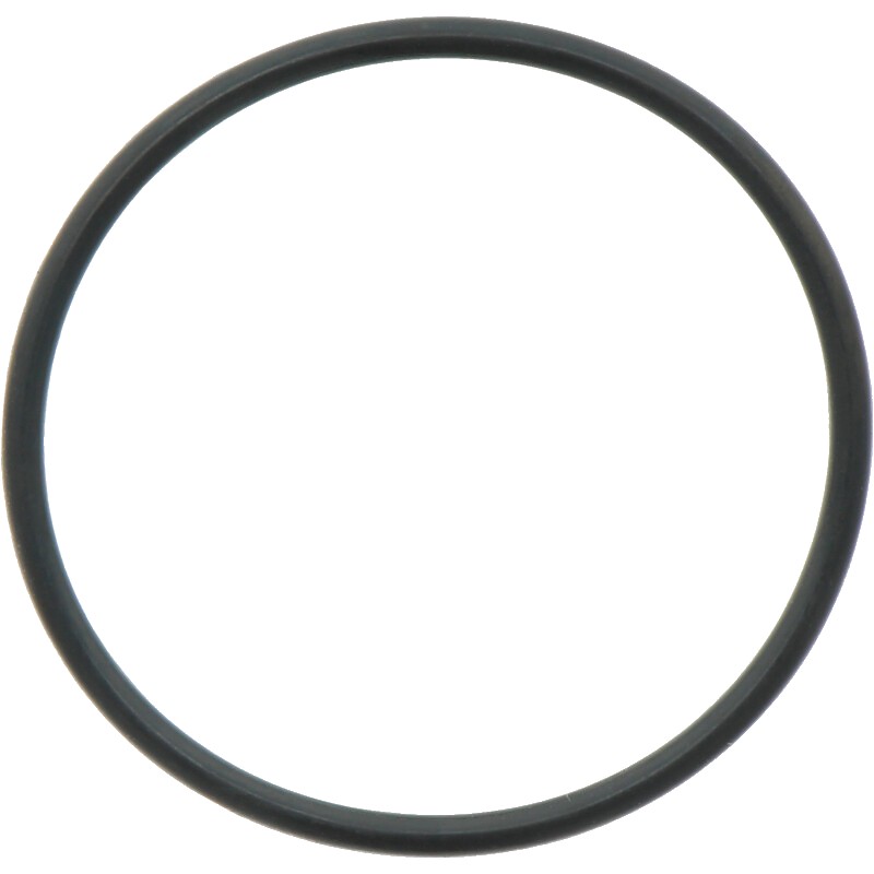 Comet O-ring Ø = 2,62 x 45,69 mm