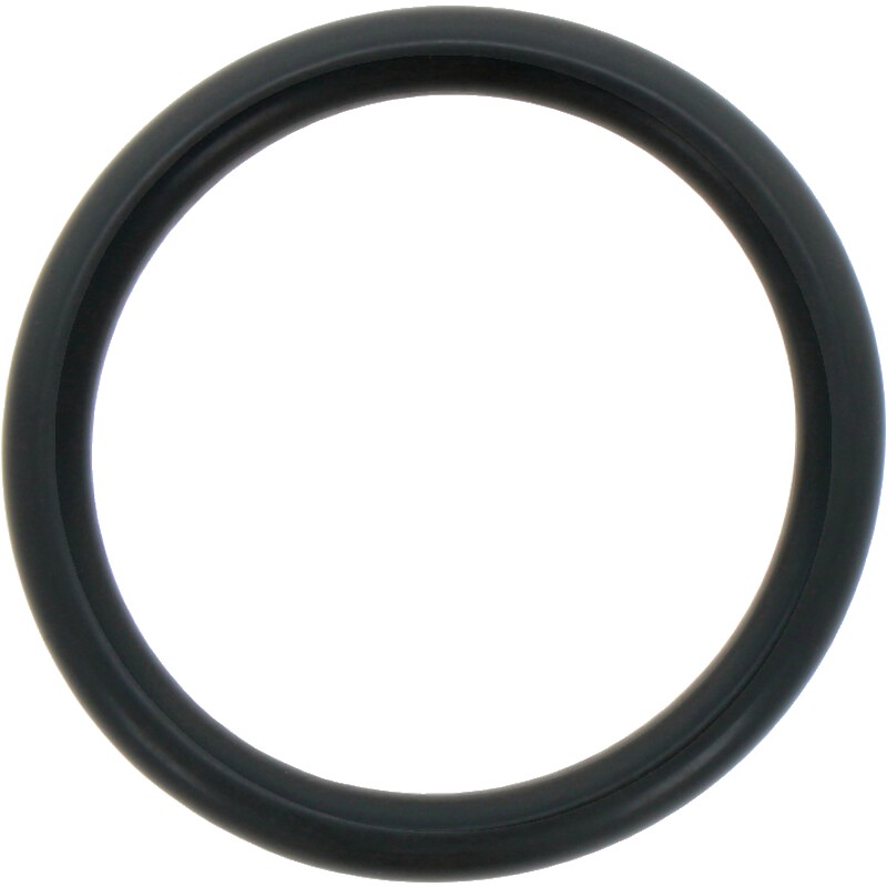 Annovi Reverberi O-ring Ø = 31,5 x 4,25 mm