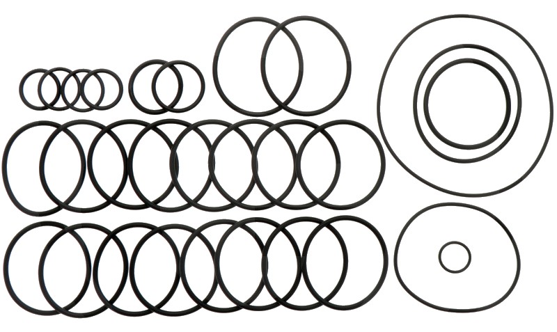 Annovi Reverberi Set o-ringuri