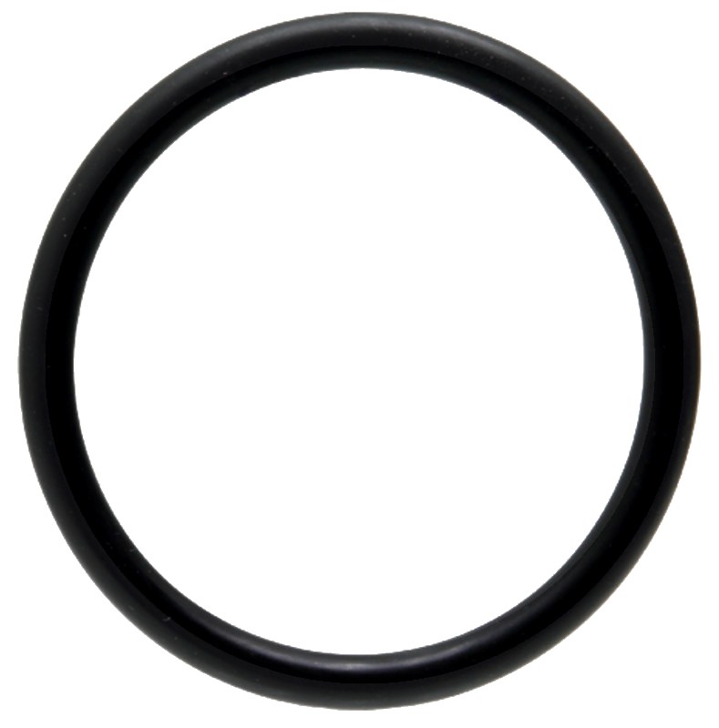 Fritzmeier O-ring