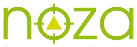 Nozal Duza cu jet plat Tips RFX alb alba
