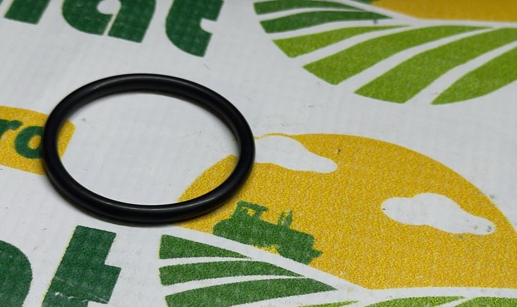 O-Ring 1004637M1