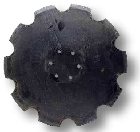 Horsch Disc - zimtat, 6 orificii