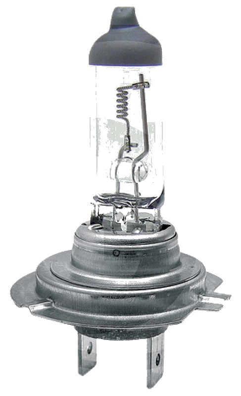 Bec halogen H7 - 12V80W / H7