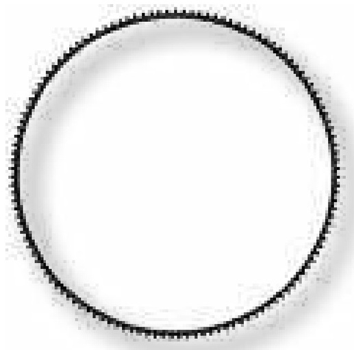 Coroana dintata Ø 384/410 mm, 127 zimti