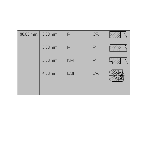 Set Segmenti Renault RVI 