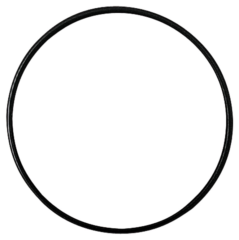 O-ring