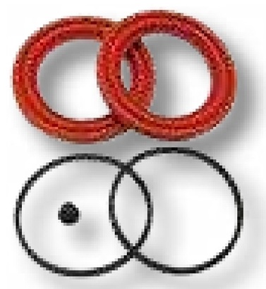 CARLISLE Piston