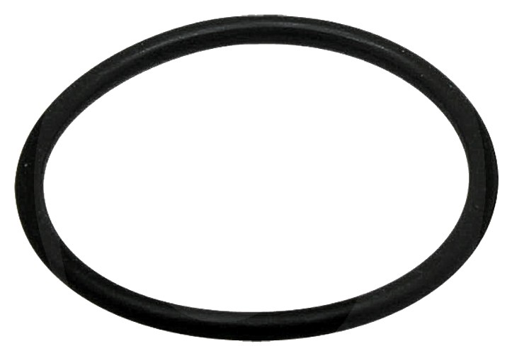 O-ring - pentru carcasa filtru