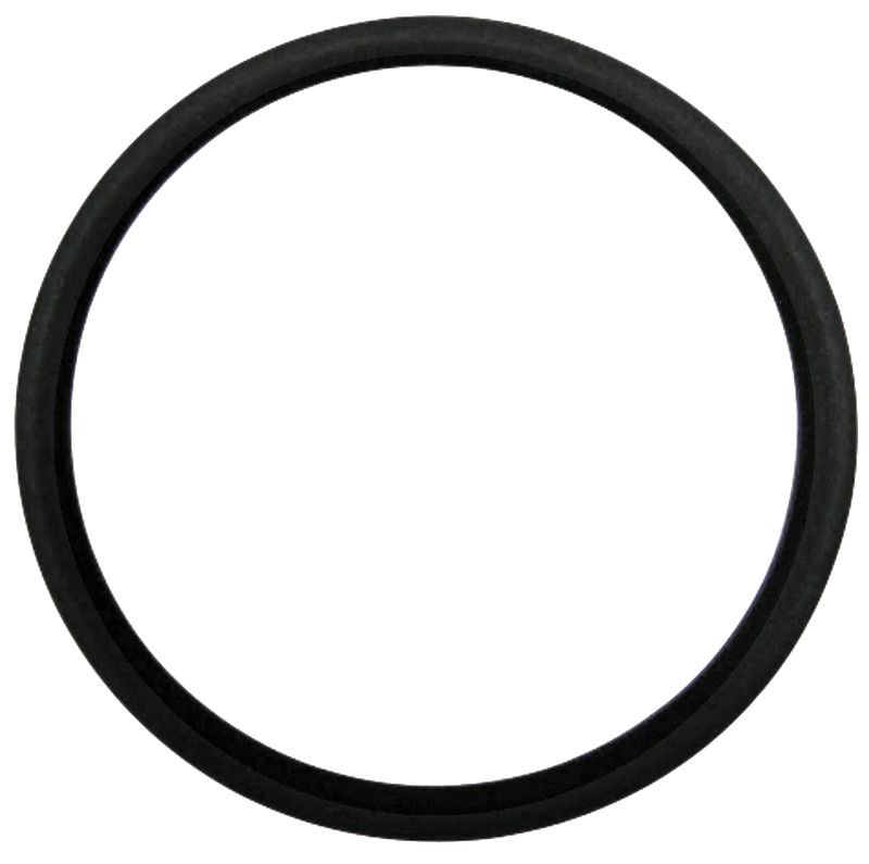 O-ring - pentru pistoane