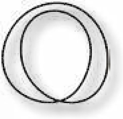 O-Ring