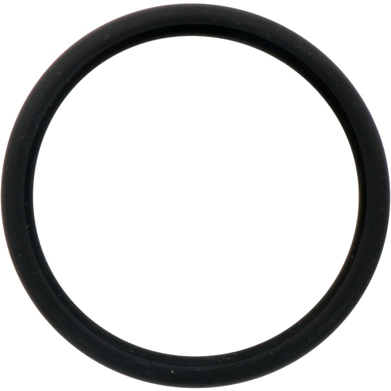 O-Ring - pentru arbore ridicator
