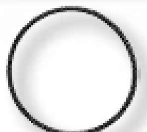O-ring