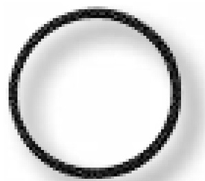 O-Ring