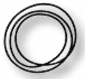 O-ring