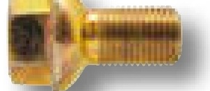 Bolt roata