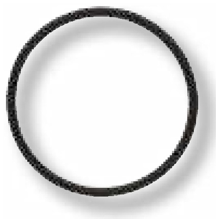 O-ring ptr. piston diferential