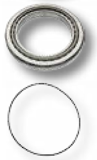 O-ring