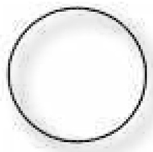 O-ring
