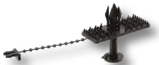 Nit