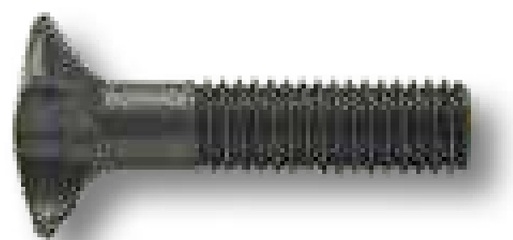 Surub lant 36 mm